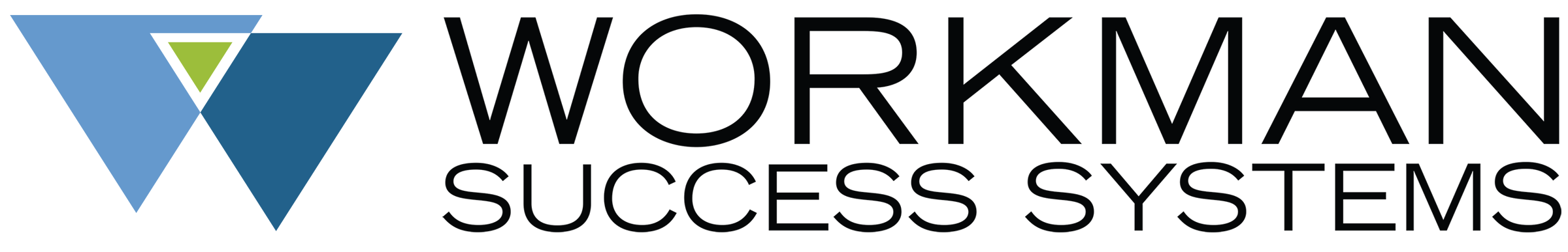 WorkmanSuccessSytems_LOGO_Horizontal_clr 2-1